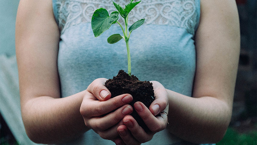 plant - 5 Gründe, warum wir umweltbewusster sein sollten